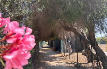 Casetta Marina Residence - Foto 28