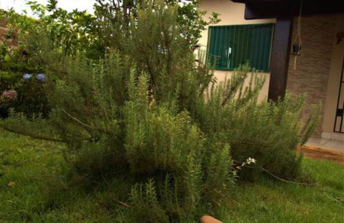 CASA COM SPA DE HIDRO, AQUECEDOR E CROMOTERAPIA A 1,0 kM DO CENTRO - Foto 18