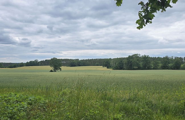 Agroletnica Country house - Foto 62