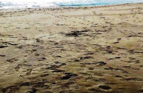 La Conchiglia - Foto 54