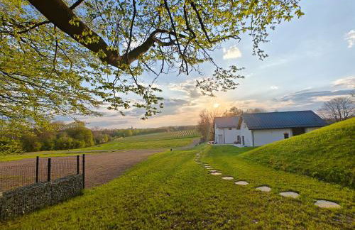 Winnica NOVI - apartamenty - Photo 20