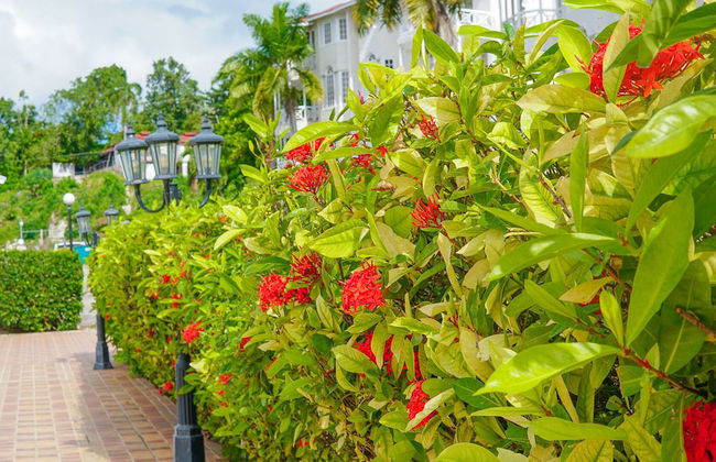 Mira Bay Apartments - Foto 30