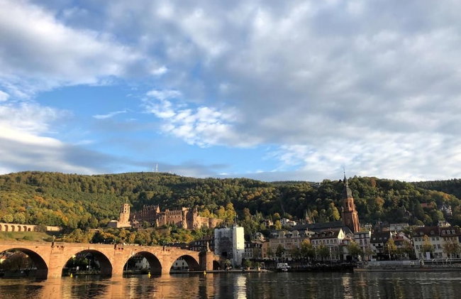 Boardinghotel Heidelberg - Foto 43