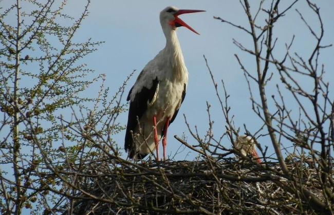 Agroturystyka u przyjaciol Soni - Foto 67