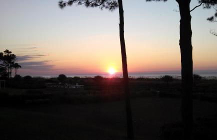 Nothing But Ocean in Forest Beach - Foto 1