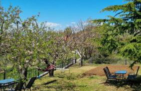 Tsigaridas Mountain Home - Foto 10