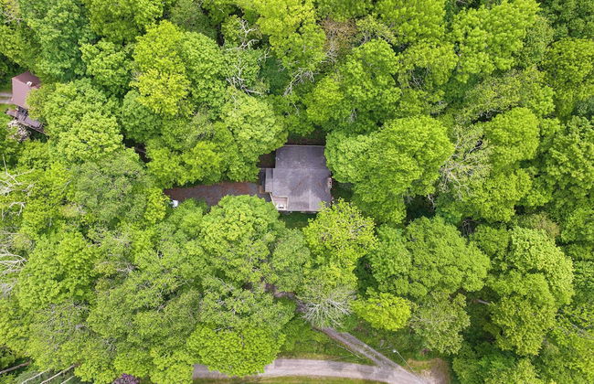 Deck w/ Forest Views, Ping Pong Blue Ridge Mtn Escape Ash Vale by Avantstay - Foto 35