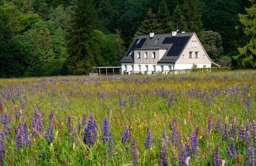 Butikowe apartamenty w Sudetach - TRZY MORZA - pod górą Trójmorski Wierch - Foto 13