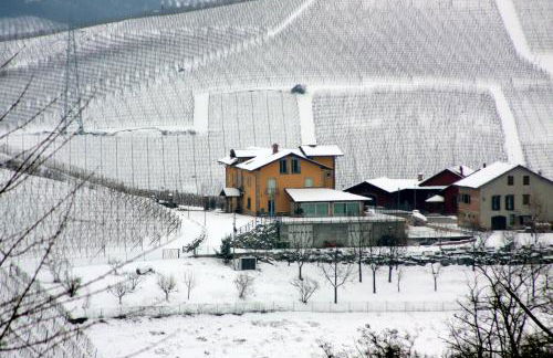 Mongalletto - Foto 70