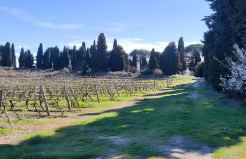 Les jardins du Canal - Foto 12