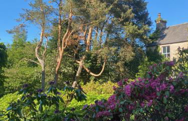 Kirkton Cottage whole house in Cairnie Aberdeenshire - Photo 6