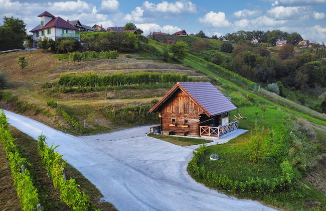 Vineyard cottage Vinska grajska kašča - Foto 58