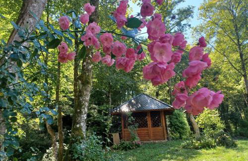 Kuća za odmor uz rijeku Slapnica, u Parku prirode Žumberak, finska sauna i jacuzzi - Foto 66