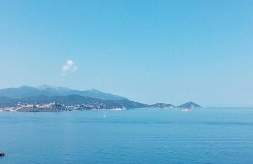 Cota Quinta - Foto 9