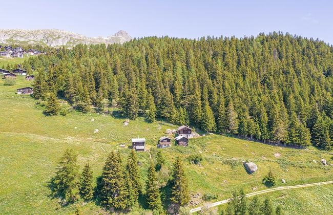 Alphütte Ried - Foto 53