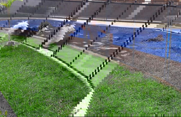 Total Spacio Relax in Cundinamarca - Foto 16