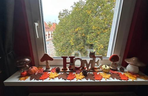 Le cocon de Marckolsheim proche Europapark - Foto 7