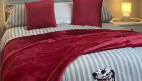 Black Forest Oase - Foto 4