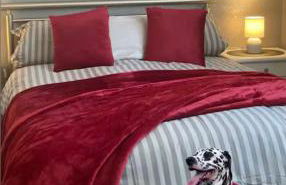 Black Forest Oase - Foto 4