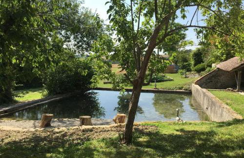 Gîte de la Roseraie - Foto 7