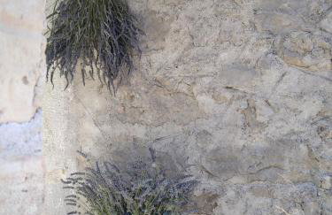 Holiday Home Iva - Foto 10