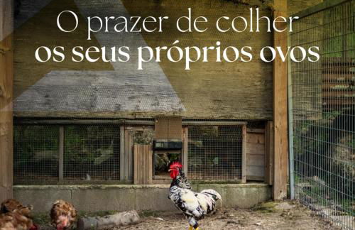 Refúgios do Rio Dão - Foto 21