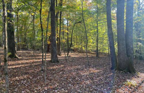 Quiet Forest Vacation home on a Private Road with Spacious Patios, Fire pit, Pet friendly and a Private pool - Foto 28