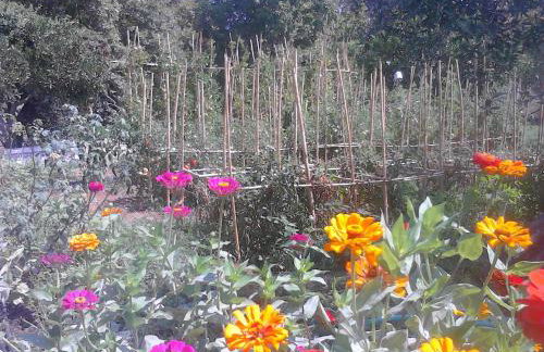 Appartamenti Angelika - Foto 10