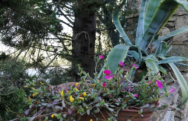 Agriturismo Le Casette - Foto 18