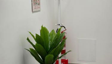 Casa Del Grillo Parlante - Foto 3