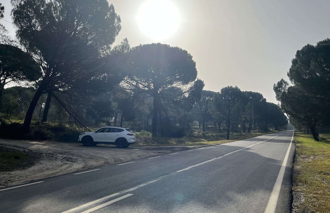 Fazenda do Pomar - Foto 62