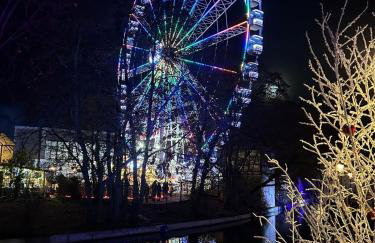 Maison proche du centre de Colmar - Chez Michel - Foto 18