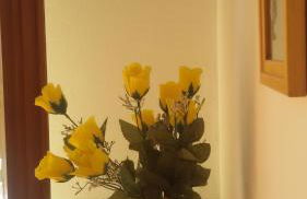 Apartment Via Vittoria - Photo 1