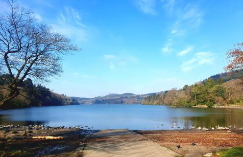 Whitehill Cottage - Photo 22