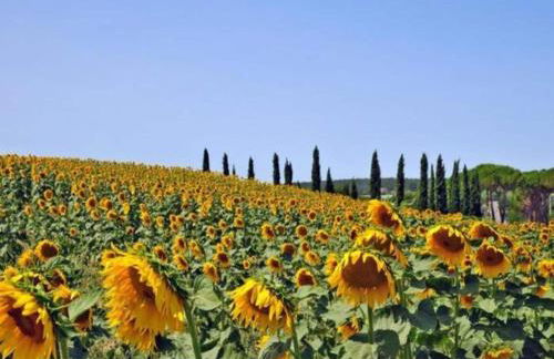 Villa in Italy With Private Garden Retreat - Foto 73