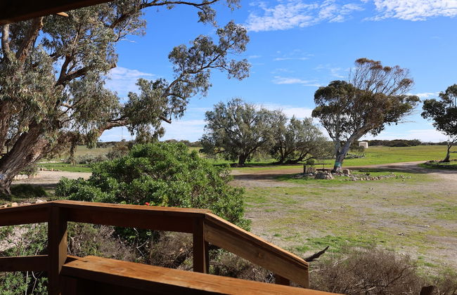 Coodlie Park Eco Retreat - Foto 36