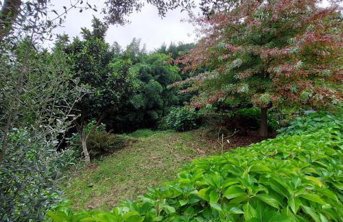 Casa do Penedo - Quinta de Fundevilla - Foto 33