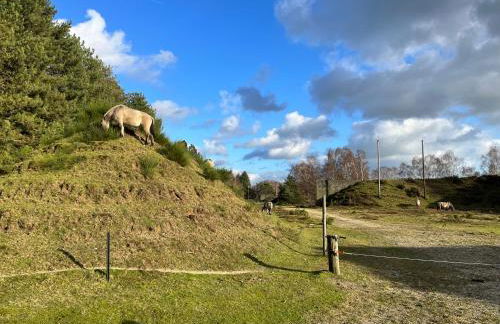 TelmiHome Brüggen, moderne Ferienwohnung mit Sonnenterrasse & Glasfaser-WLAN - Foto 15