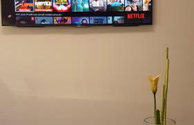 100m zum Ulmer Münster: 57m² Wohnung an der Blau - Foto 23