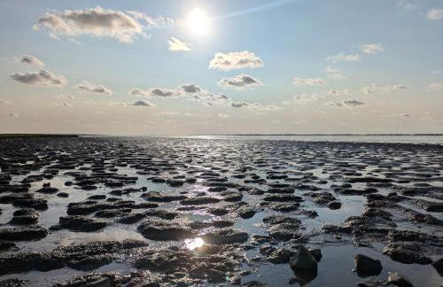 Drei-Insel-Blick Neßmersiel - Foto 49