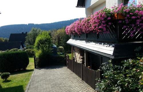 Ferienwohnungen Luge - Winterberg - Foto 41