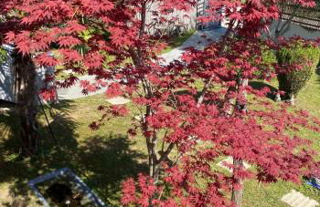 Villa Kampou - Foto 56