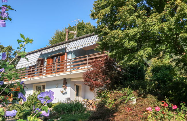 Sulle Colline Casalesi - Foto 22