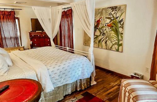 The Lazy Bear, Lake George - Foto 19