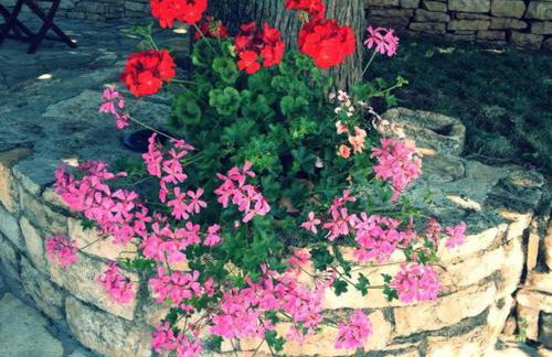 Holiday Home Sandra - Foto 11