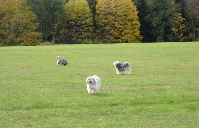 Holiday Apartment Owl's Nest - Foto 12