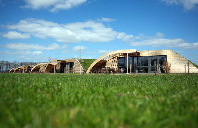 Peaceful Farmside Bungalow - Photo 36