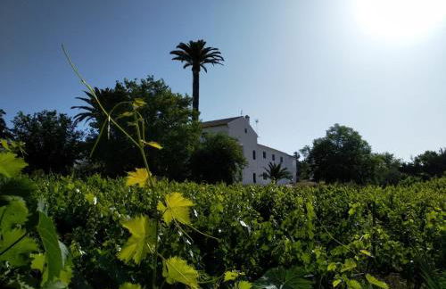 Alojamiento Las Palmeras - Foto 15