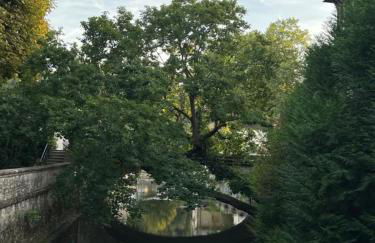 Grand loft d'artiste au coeur de Vendôme - Foto 41