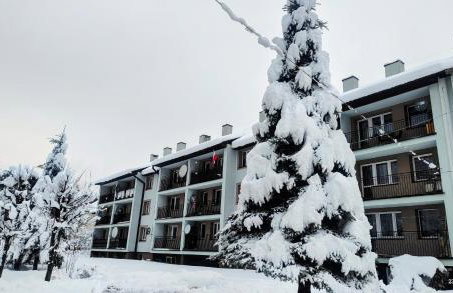 Bieszczady Apartament Gniazdo Baligród - Foto 7